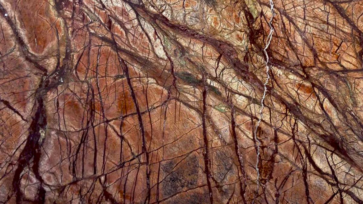 Rain Forest Brown Mermer