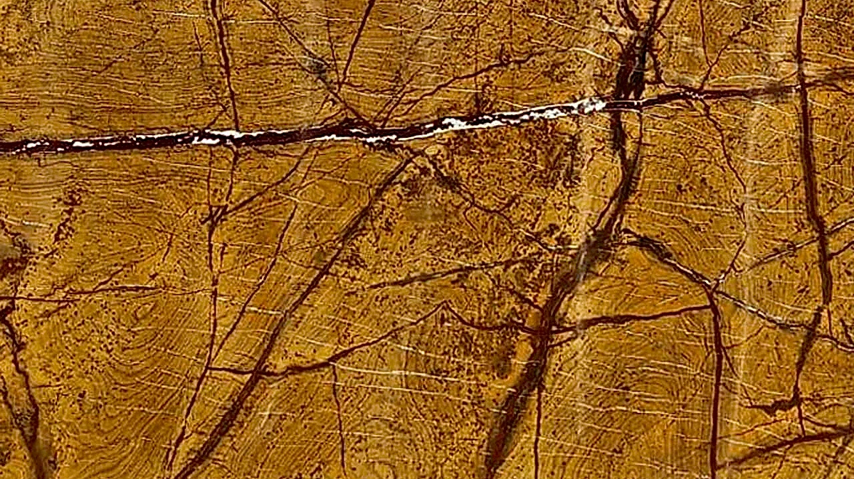 Rain Forest Gold Mermer